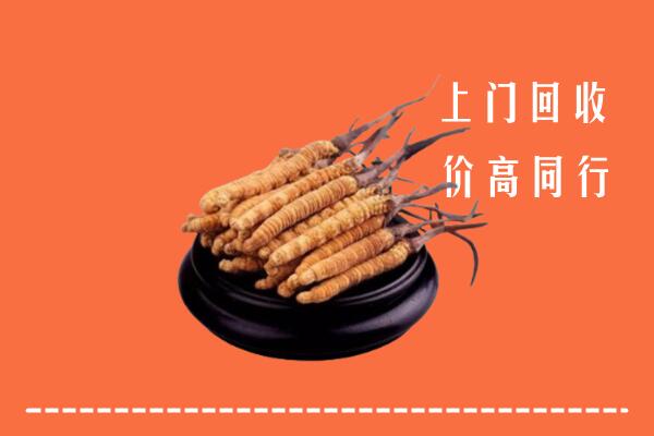 高价求购：如皋市回收散虫草