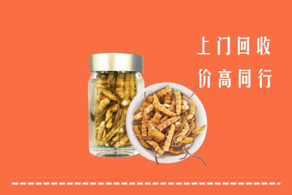 如皋市回收冬虫夏草