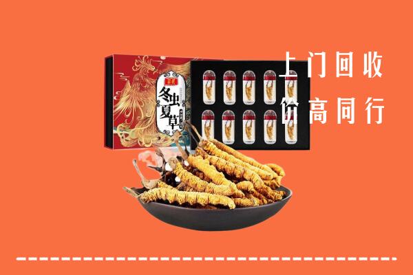 如皋市回收虫草